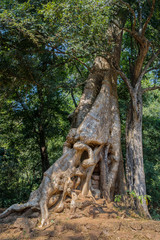 Baphuon Temple,Siem Reap, Cambodia.