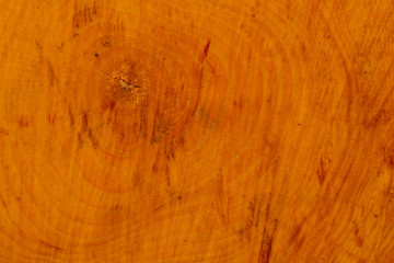 stump of Alnus tree felled - section of the trunk with annual rings