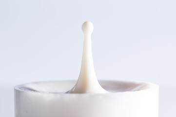 Milk drops splash and circle reflextion background.Pouring fresh milk drops falling into the the table.