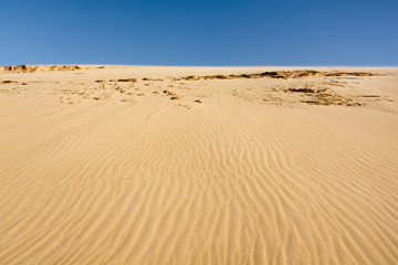 dunas de arena con viento