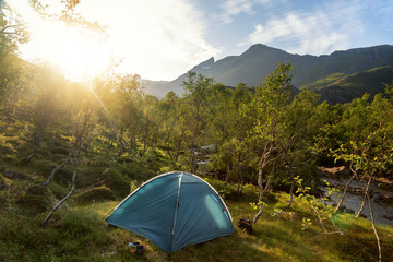 Tent in the woods on a hillside overlooking the mountain, beautiful sunny summer landscape, escape into nature. Local Travel Trend, Norway