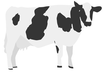 牛のイラスト素材