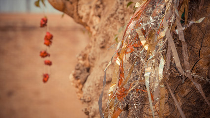 A close up of strings on tree