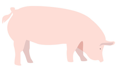 豚のイラスト素材