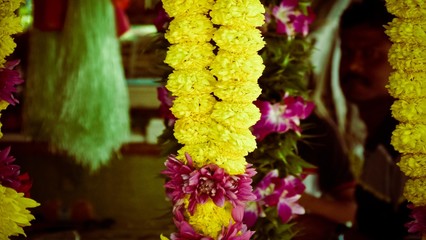 A close up of yellow and purple flowers