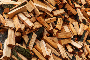 Stacked Chopped Alnus Firewood on Pile