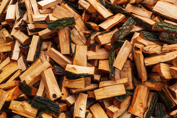 Stacked Chopped Alnus Firewood on Pile, Pile of broken twigs. Twig texture background. Pile of pieces of twig