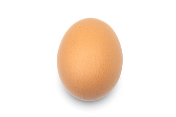 
One egg is placed on a white background.