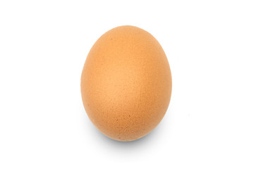 
One egg is placed on a white background.