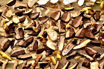 Chopped mushrooms ready for drying. Close-up.