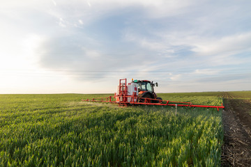 Tractor spraying wheat in field © Vesna