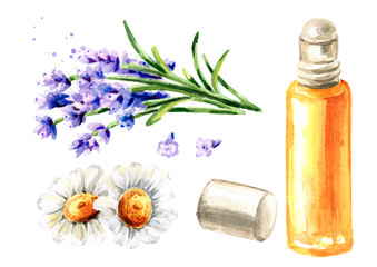 Essential oil with roller, lavender and chamomile. Calming herbal collection set. Hand drawn watercolor illustration isolated on white background