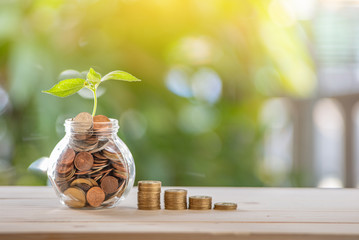 Finance And Investment Concept