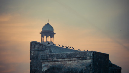 Fototapeta premium Close up of birds on a monument