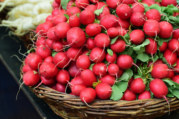 Many small red radishes are for sale in Bavaria on the market