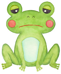 困るカエル（水彩イラスト）
