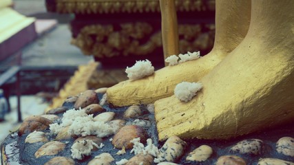 Feet with some rice on it and on base