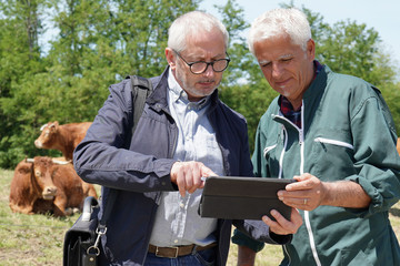 Farmer meeting with financial counseller in farm
