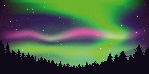 Fototapeta premium aurora borealis beautiful polar lights in stary sky in forest vector illustration EPS10