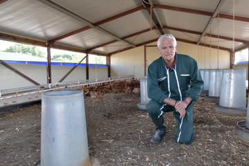 Portrait of breeder standing in henhouse