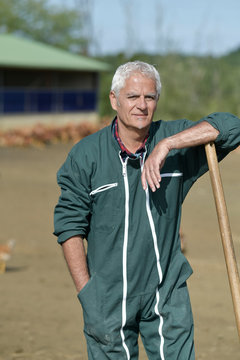 Farmer standing in poultry yard