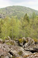 A mountain river waterfall flows through a river bed through huge boulders with moss