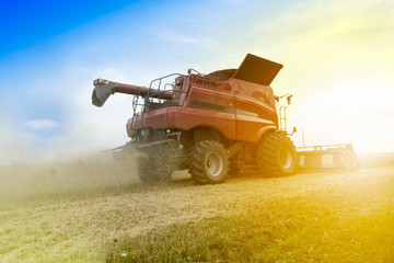 Harvester is working during harvest time in the farmer’s fields, machine is cutting grain plants...