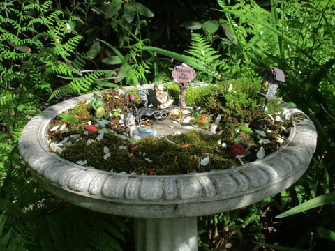 Fairy Garden DIY