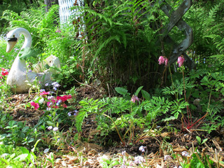 Bird and Flowers in Garden