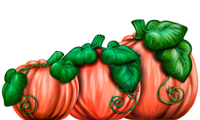 Pumpkins. Wall sticker. Artistic, color, drawn image of three pumpkins on a white background.