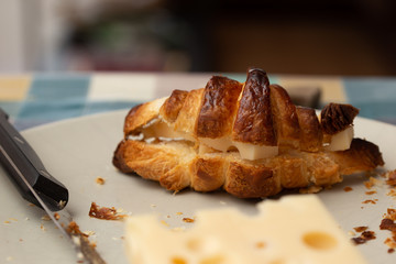 delicious croissant with cheese
