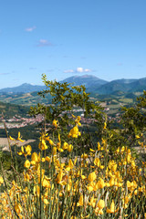 Italy. Tuscany landscape