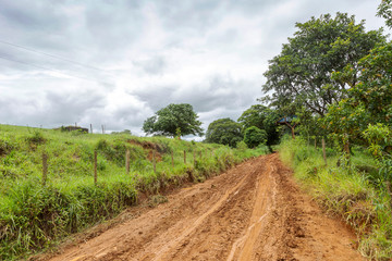 Estrada rural com muita lama, depois de chuva intensa, em área do município de Guarani, Minas...