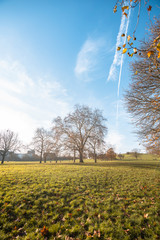 autumn landscape in the city