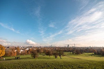 autumn landscape in the city