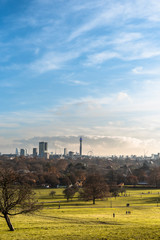 autumn landscape in the city