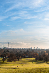 autumn landscape in the city