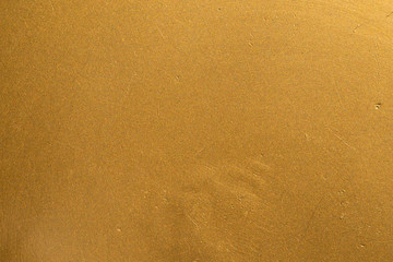 Fototapeta na wymiar mrass gold metal texture pattern