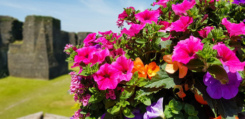 Caerphilly Castle during Springtime, Wales, United Kingdom.