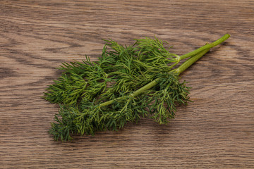 Aroma seasoning - Green Dill branch