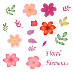 Big of beautiful colorful flowers. Vector illustration.