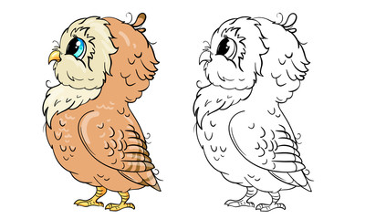 Cute little line and color owl vector illustration