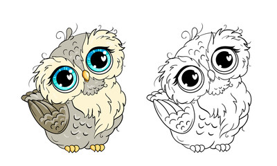 Cute owl line and color. Vector illustration for coloring book