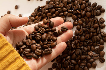 take coffee beans by hand morning in hand close up