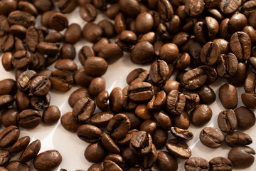 coffee beans a lot of coffee scattered on a white background