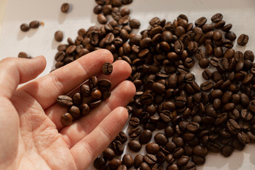 take coffee beans by hand morning in hand close up