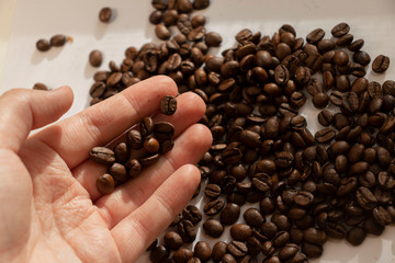 take coffee beans by hand morning in hand close up
