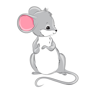 Cute little mouse  vector illustration