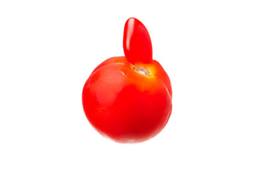 Side view on the ugly tomato with finger