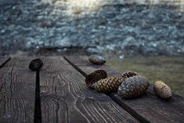 Pinecones